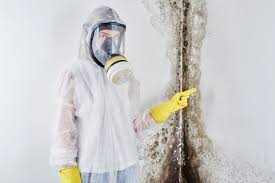 Why You Should Choose Our Mold Remediation Services in Hartley, CA